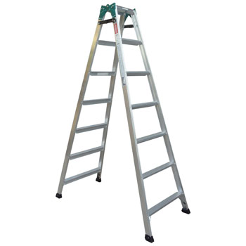 thang-nhom-gap-2-doan-hasegawa-japan-rs-21